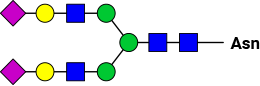 Image of glycan structure.