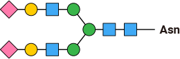 Image of glycan structure.