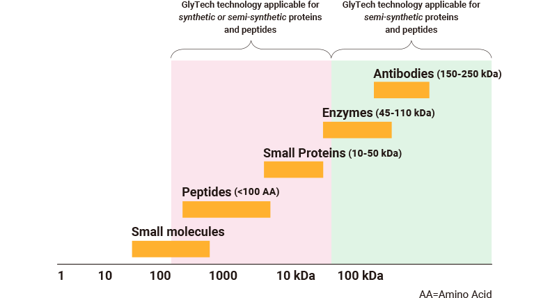 Graph showing broad applicability of GlyTech, Inc. synthesis technologies from small molecules to peptides, proteins and antibodies.