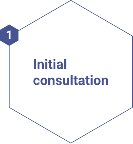 1. Initial consultation