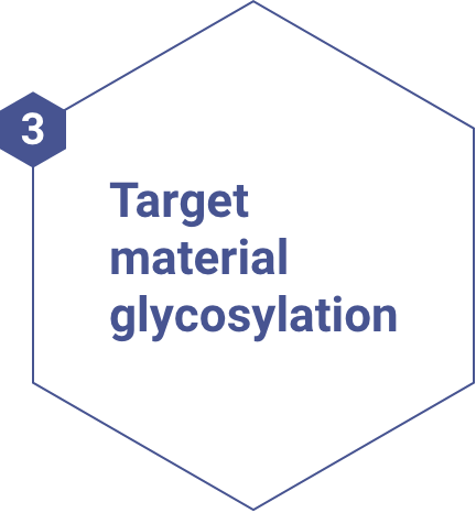 3. Target material glycosylation