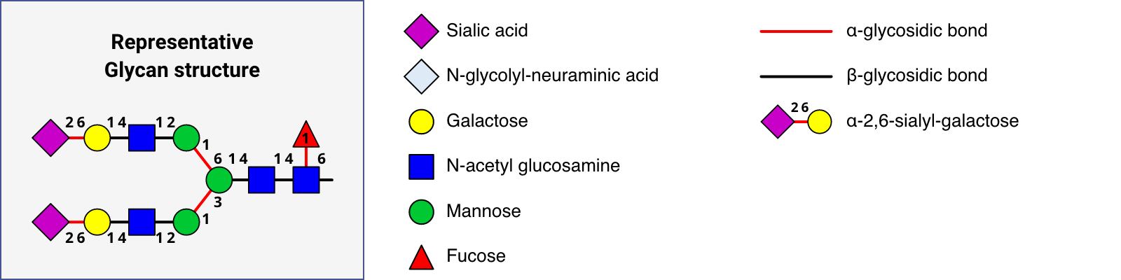 legend; Representative glycan structure