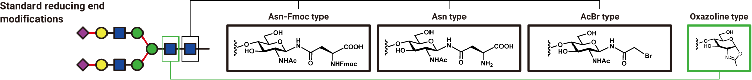 Image: Standard reducing end modifications