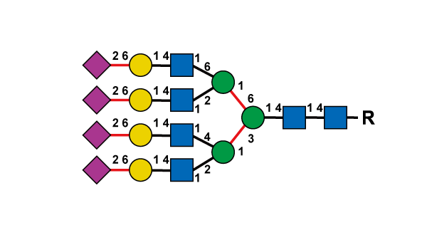 structure image of A4G4S(6)4