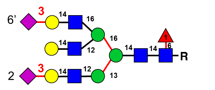 structure image of FA3G3[2,6']S(3)2
