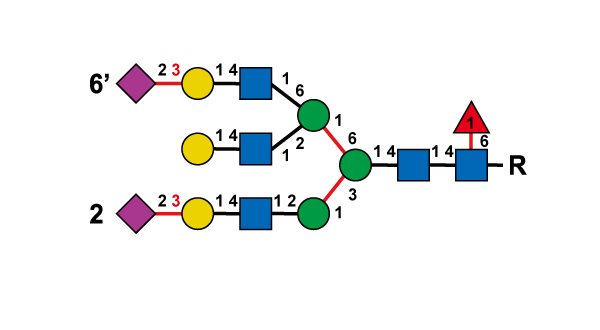 structure image of FA3G3[2,6']S(3)2